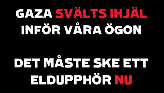 Gaza starvation statement 23 July