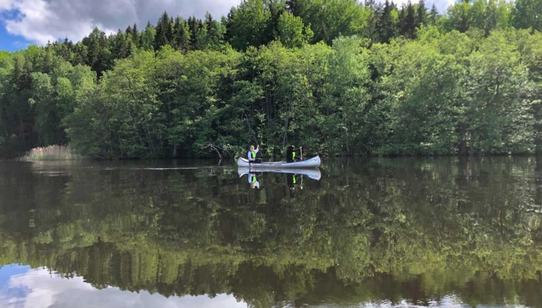 War Child Sweden_Naturkraft_220803