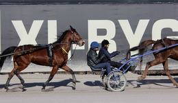 War Child Sweden_Travkraft Solvalla_1_220304