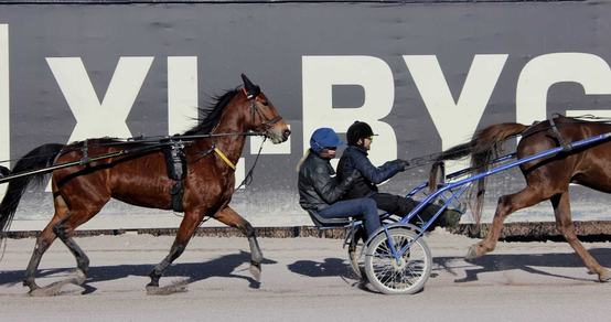 War Child Sweden_Travkraft Solvalla_1_220304