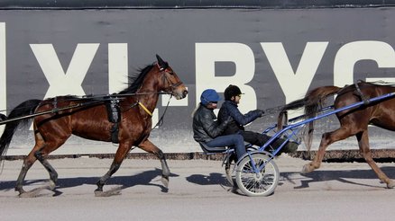 Youth riding horse sulky on Solvalla in Sweden during Travkraft project