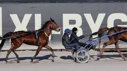 War Child Sweden_Travkraft Solvalla_1_220304